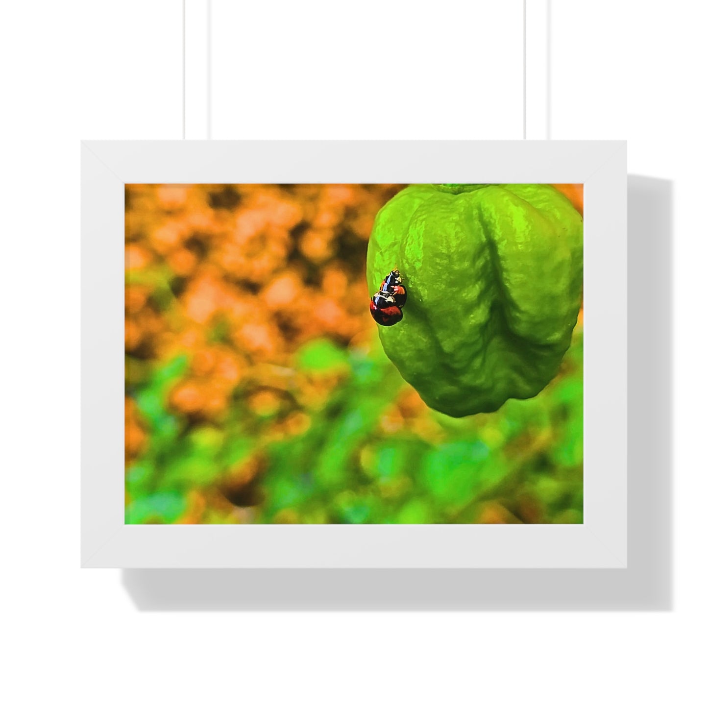 Spicy Bug Love | Framed Nature Poster