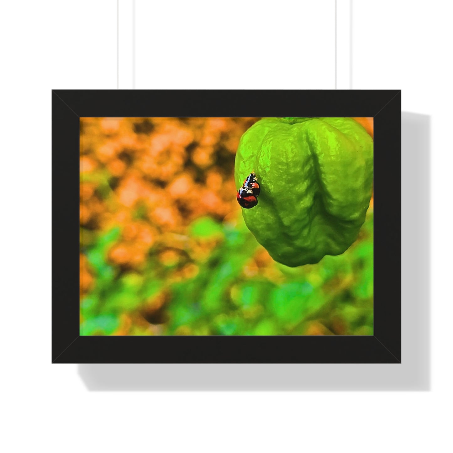 Spicy Bug Love | Framed Nature Poster