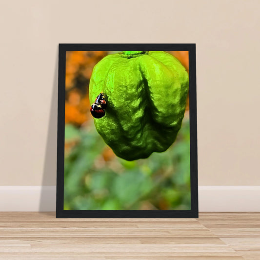 43cc494d-2a52-4422-9015-a5dd37f92466