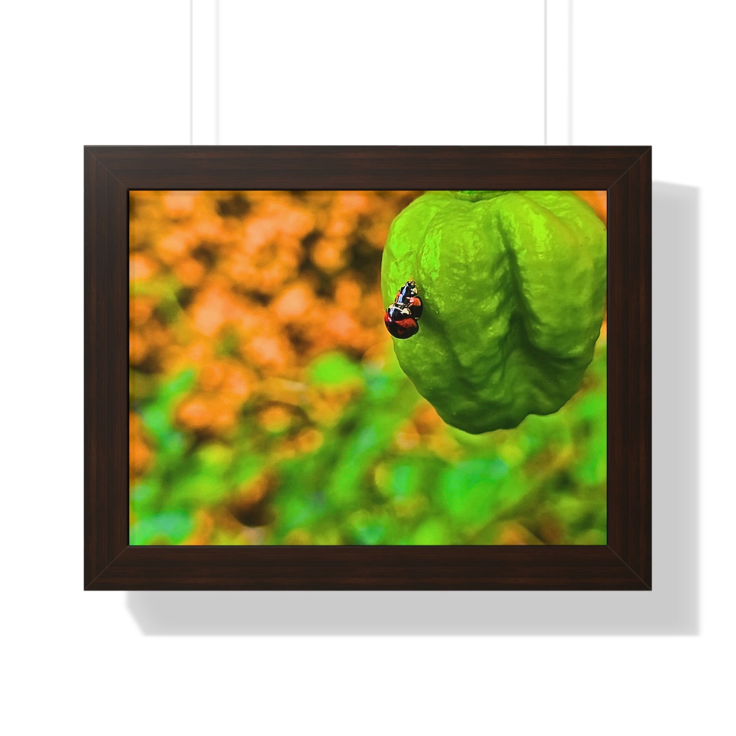 Spicy Bug Love | Framed Nature Poster