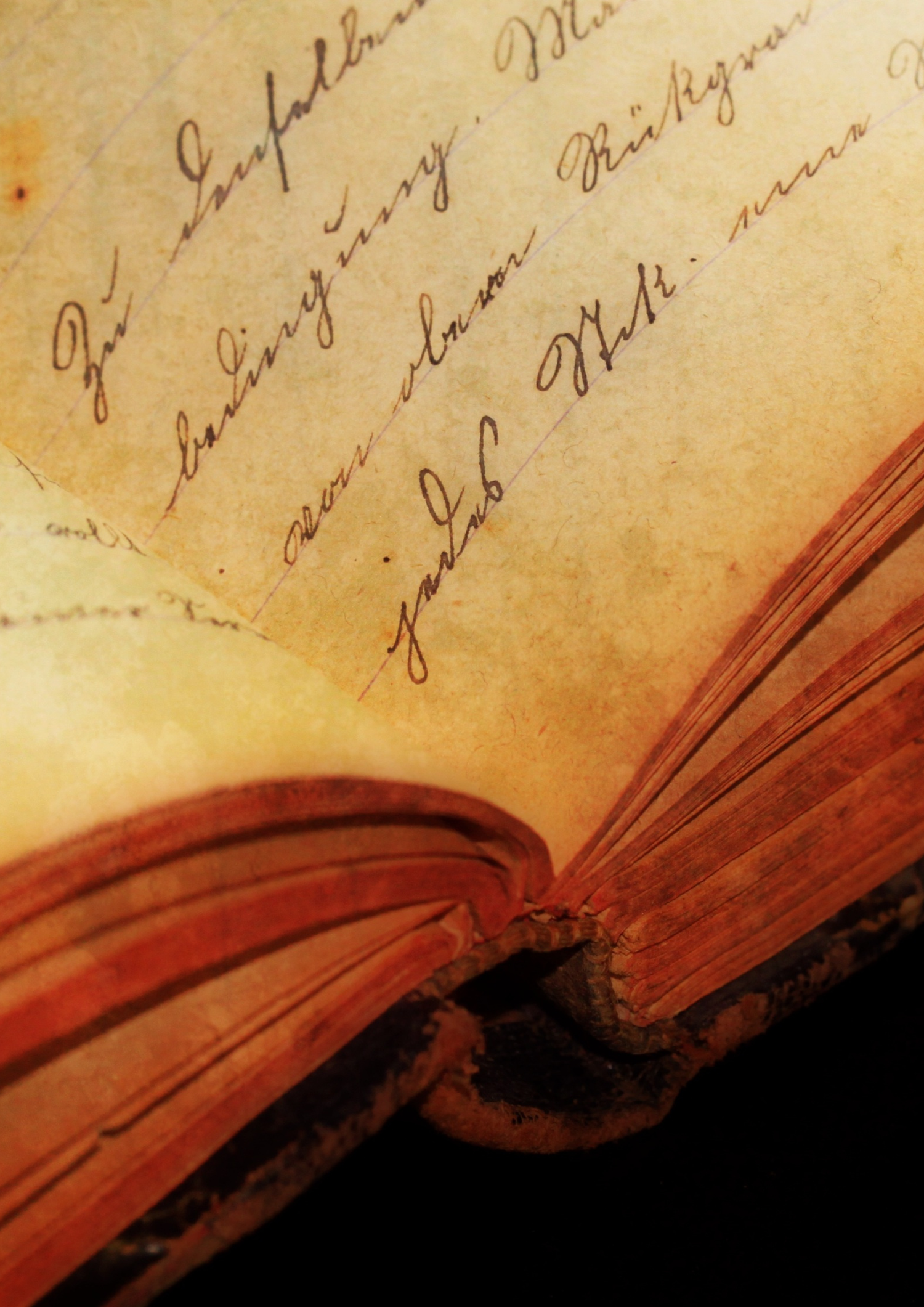 Reparación y restauración de Libros