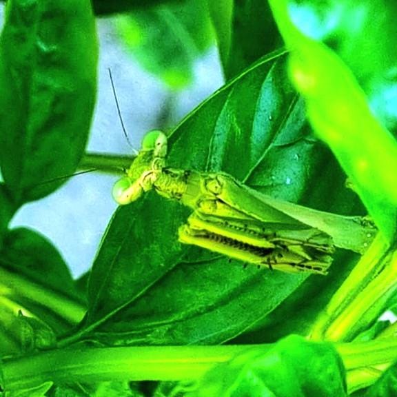 Momentos en el Jardín