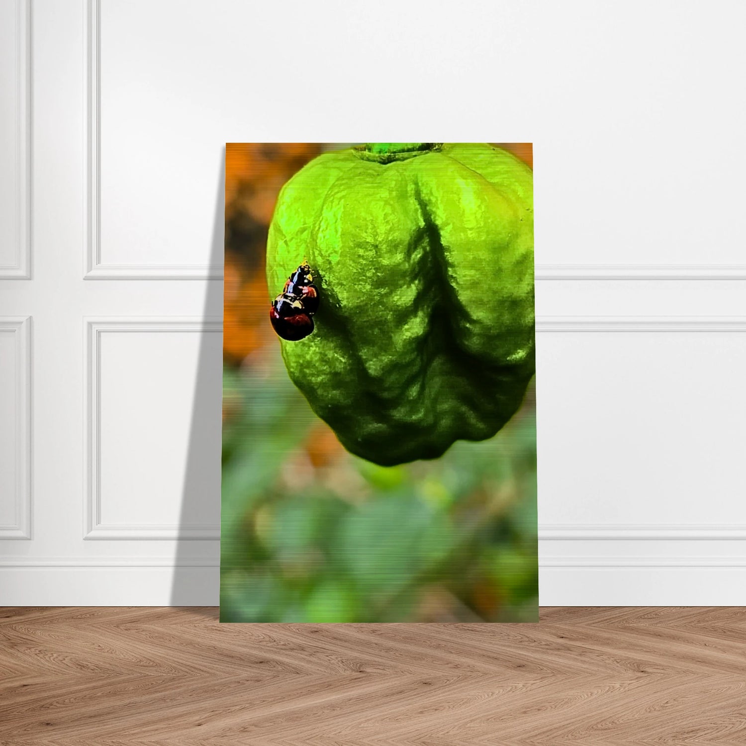 01179999-209b-4253-a5b6-fed389640abd