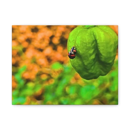 Spicy Bug Love | Impresión en lienzo 20x30cm (Horizontal) Canvas