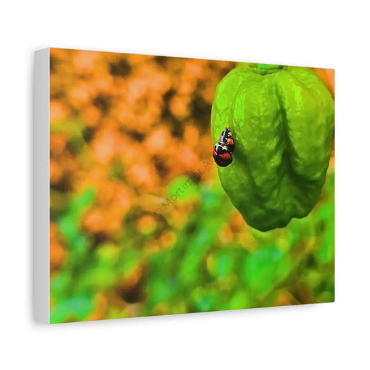 Spicy Bug Love | Impresión en lienzo Canvas